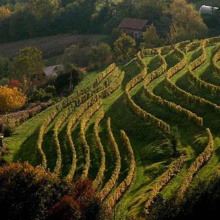 Chalet Goricko Natural