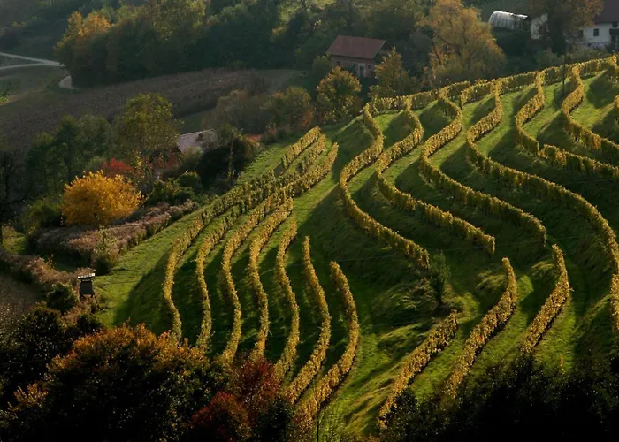 شاليه Goricko Natural