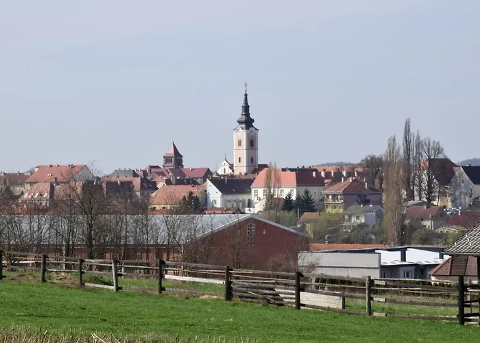 シャレー Goricko Natural *